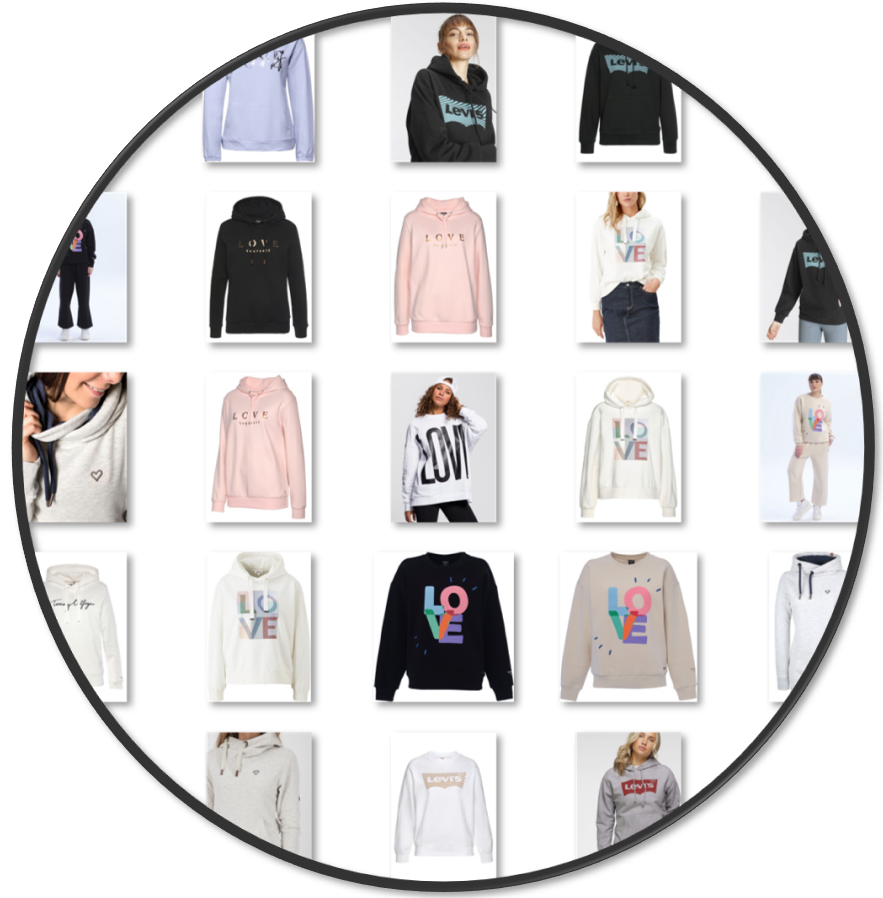 Bachelor Thesis. Tinder for your Home